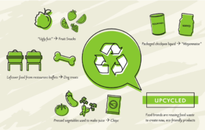 Food Waste Infographic
