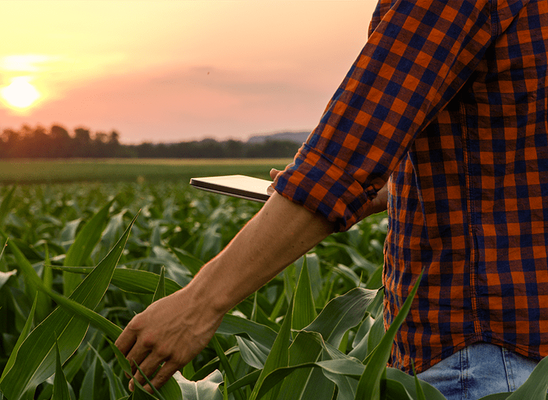 Farmer in the field with crops